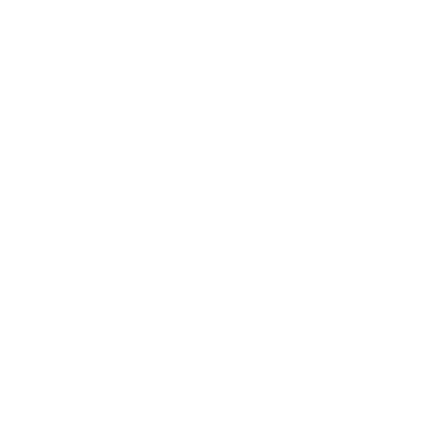 Logo Fondazione Casa di Riposo di Bricherasio ETS